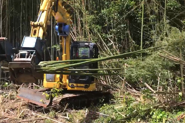 庭木伐採・庭石撤去・草刈