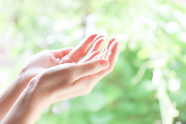 地域の公共施設等に寄付する