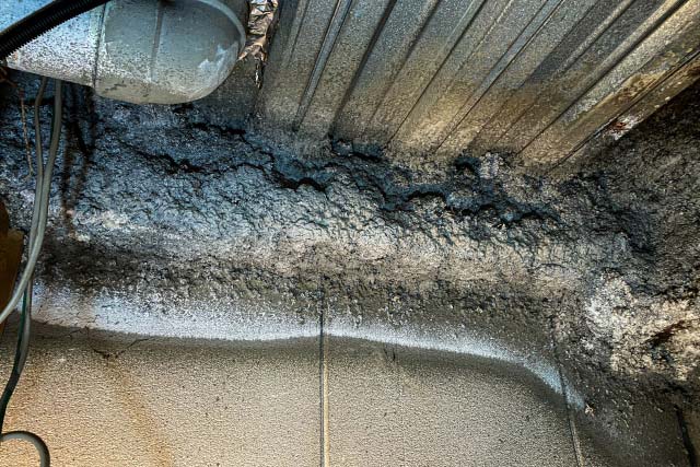 アスベスト調査